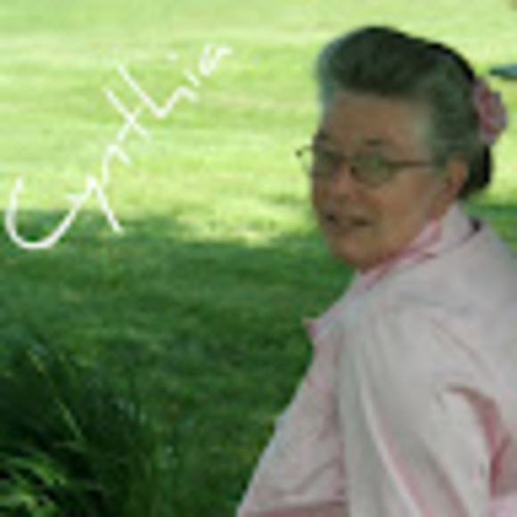 Meet your Posher, Cynthia - Picture 1 of 1